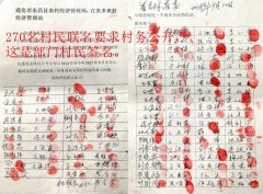 <b>吉林通化:众村民实名举报村官横行乡里,纪委称已经处理</b>