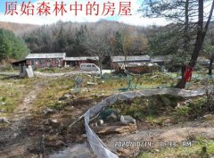 白石山林业局干部养蛙被指破坏植被,林业局称已经处罚