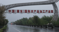 <b>黑龙江肇东产业园里建“牛市”破坏土地10多万平米无人管</b>