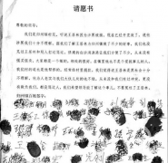 <b>辽宁营口:“黑老大”为何能引2000余村民为其喊冤?</b>