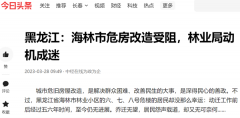 <b>黑龙江:海林市危房改造受阻,林业局动机成迷</b>