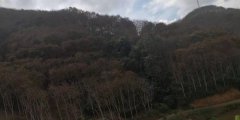 <b>行政违法被确认,千万投资未获赔,西双版纳营商环境遭质疑</b>