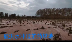 <b>内蒙古巴林左旗:年近七旬老太因“敲诈政府”被判三年刑</b>