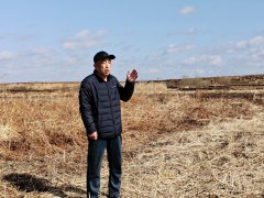 黑龙江桦南:荒地变沃土后开荒成果竟然