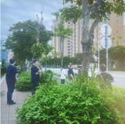 百姓评议国法岂能沦为空谈?举报反遭报复,谁来为我们主持公道?